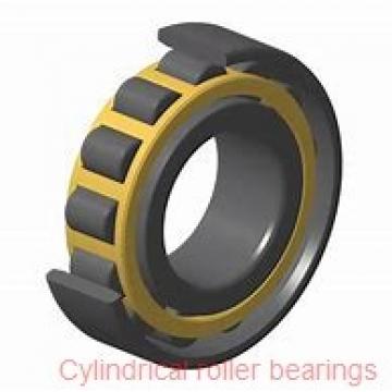 Toyana NNCF5007 V cylindrical roller bearings