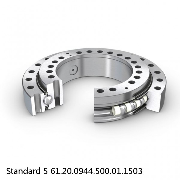 61.20.0944.500.01.1503 Standard 5 Slewing Ring Bearings #1 small image