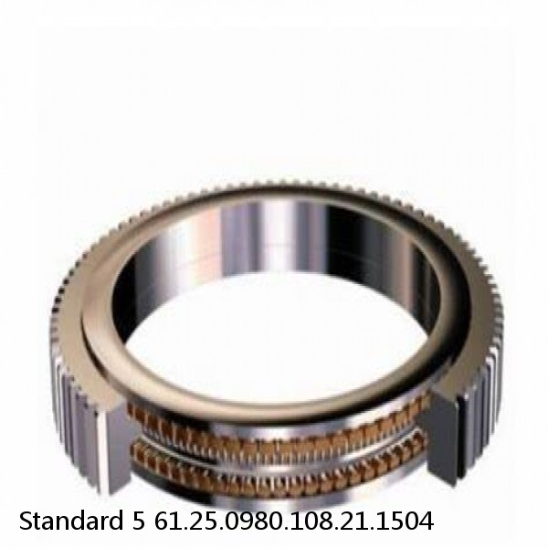 61.25.0980.108.21.1504 Standard 5 Slewing Ring Bearings #1 small image