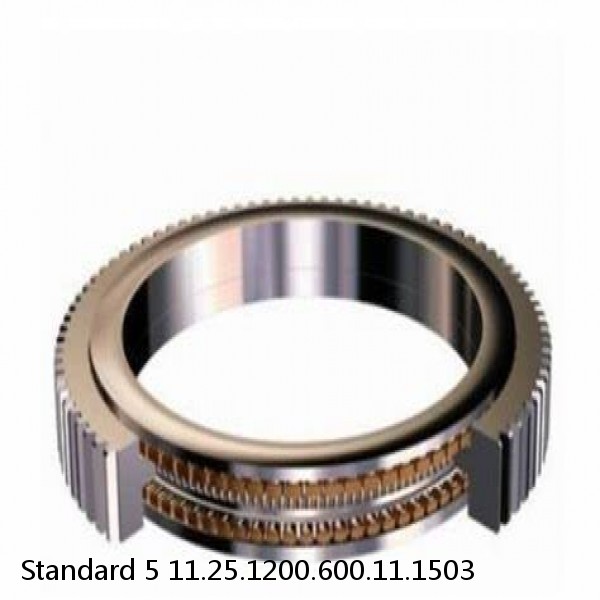 11.25.1200.600.11.1503 Standard 5 Slewing Ring Bearings #1 small image