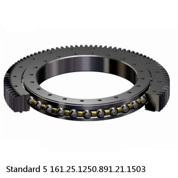 161.25.1250.891.21.1503 Standard 5 Slewing Ring Bearings #1 small image