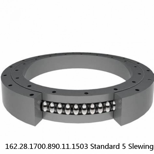 162.28.1700.890.11.1503 Standard 5 Slewing Ring Bearings #1 small image