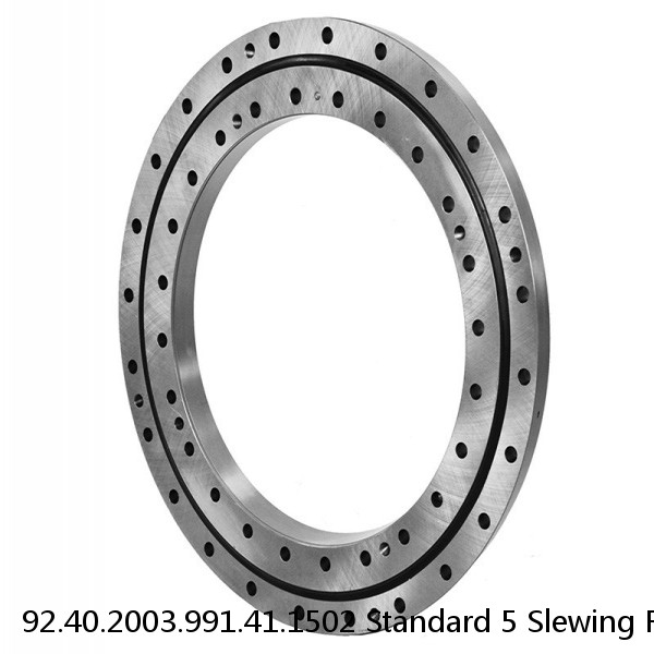 92.40.2003.991.41.1502 Standard 5 Slewing Ring Bearings #1 small image