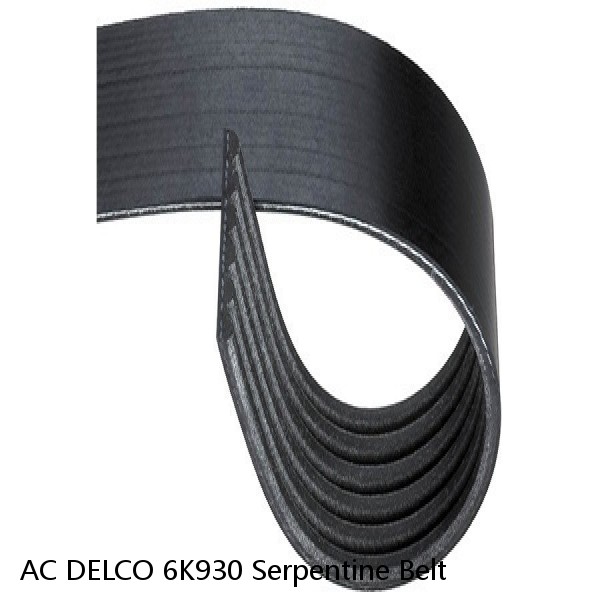 AC DELCO 6K930 Serpentine Belt #1 small image