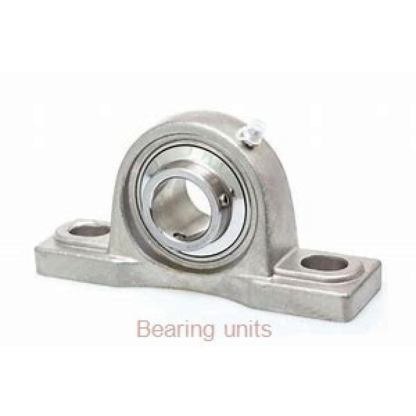 INA RASE1-1/4 bearing units #1 image
