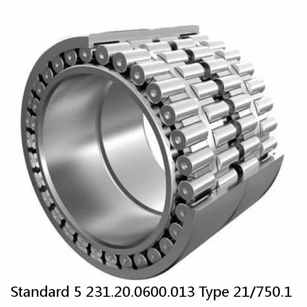 231.20.0600.013 Type 21/750.1 Standard 5 Slewing Ring Bearings #1 image