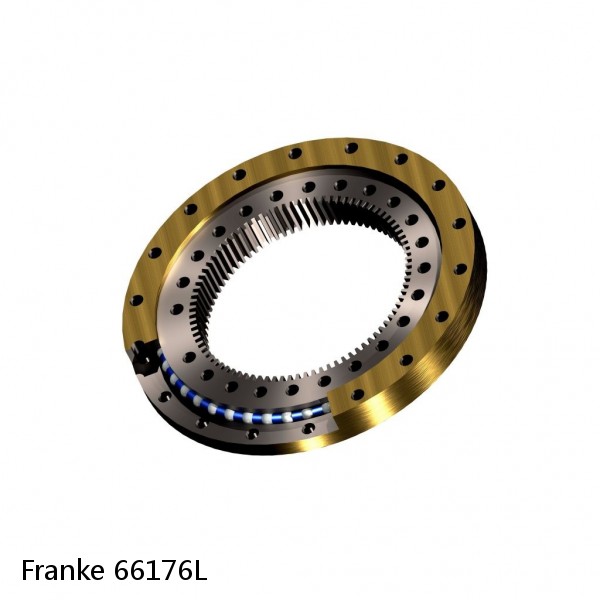66176L Franke Slewing Ring Bearings #1 image
