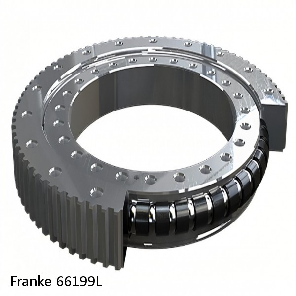 66199L Franke Slewing Ring Bearings #1 image